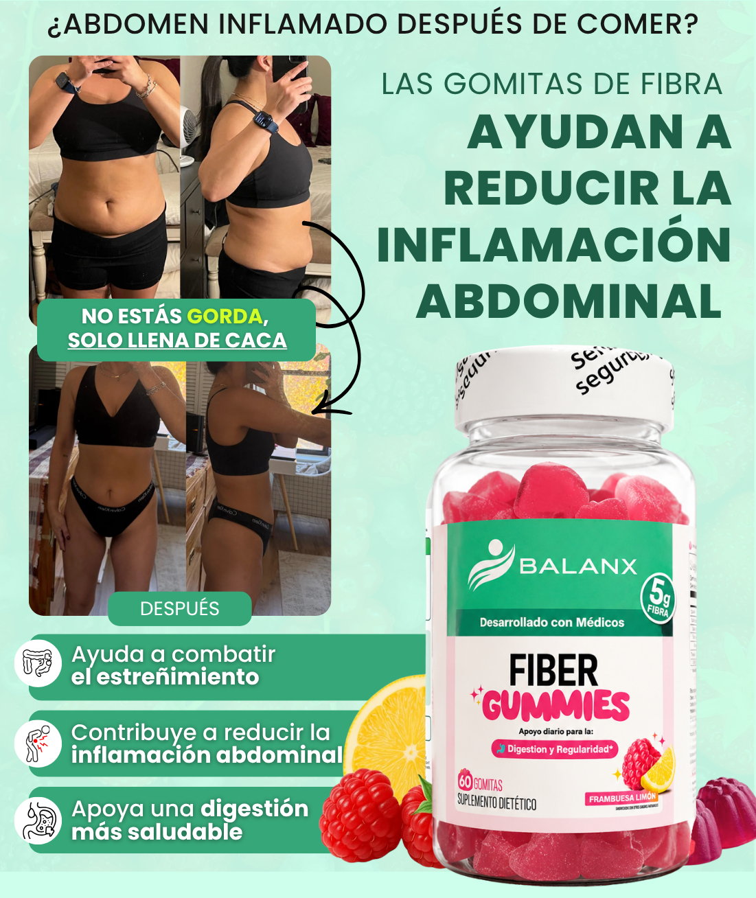 Gomitas de Fibra x60
